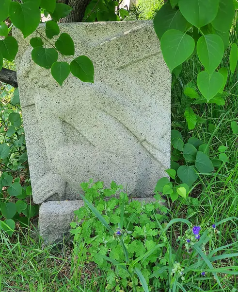 Yeşil çimenli eski taş duvar