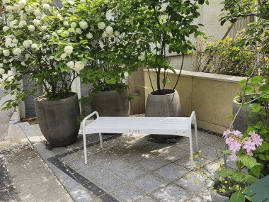 Parktaki güzel bahçe.