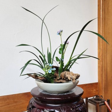 Güzel botanik fotoğrafı, doğal duvar kağıdı.