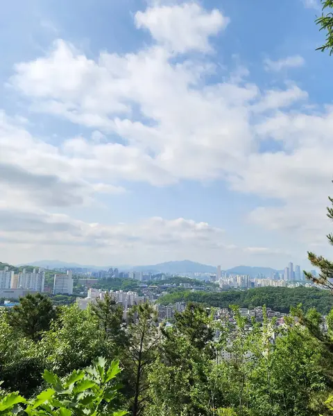 Parkın güzel manzarası