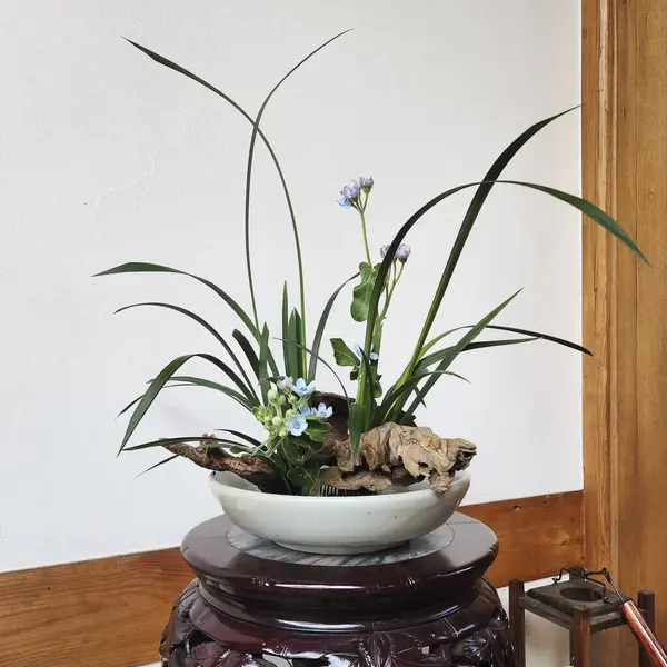 Güzel botanik fotoğrafı, doğal duvar kağıdı.