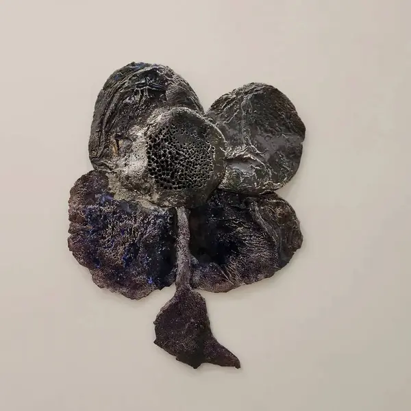 çok sayıda siyah ve beyaz deniz kabuğu