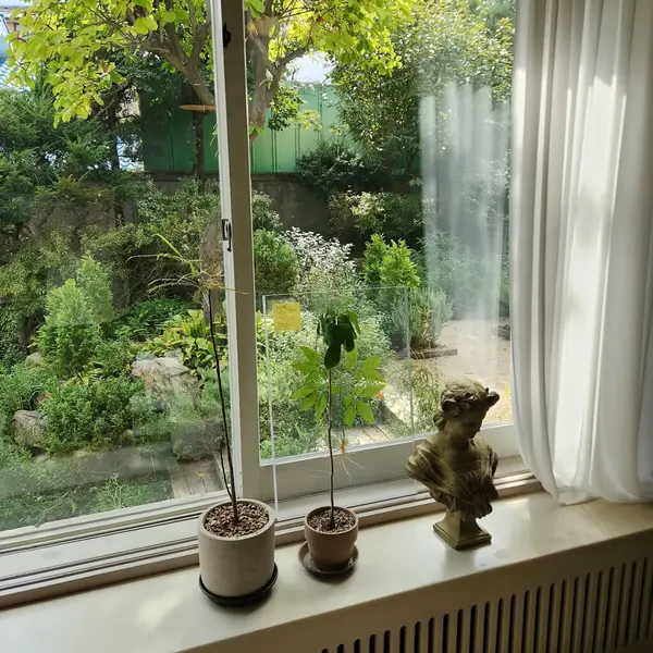 Bahçedeki güzel çiçekler