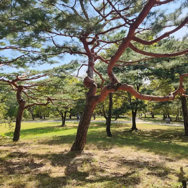 Parkın güzel manzarası