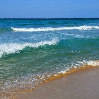 Güzel sahil ve tropikal deniz