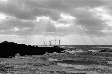 Güzel bir denizin siyah beyaz görüntüsü