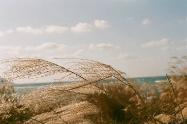 Güzel deniz manzarası