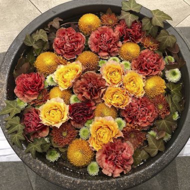 Bahçedeki güzel çiçekler