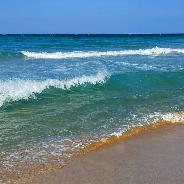 Güzel sahil ve tropikal deniz