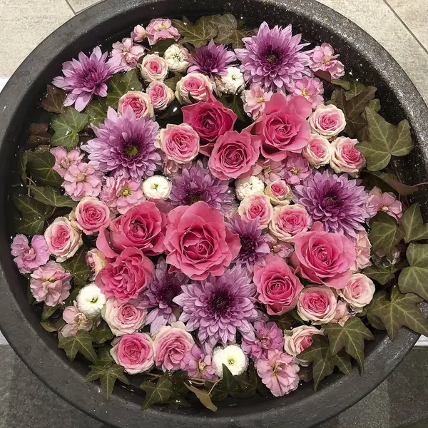 Güzel botanik fotoğrafı, doğal duvar kağıdı.