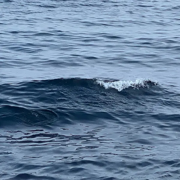 Deniz dalgaları ve su sıçratan dalgalar