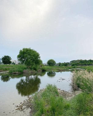 Nehir ve gölü olan güzel bir manzara.