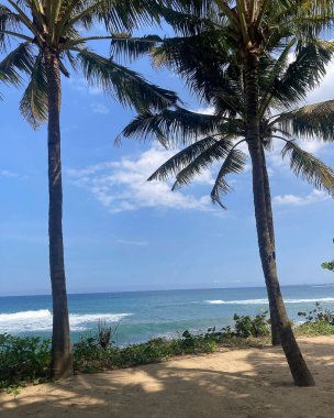 Sahilin güzel manzarası