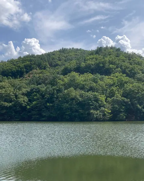 Gölün güzel manzarası