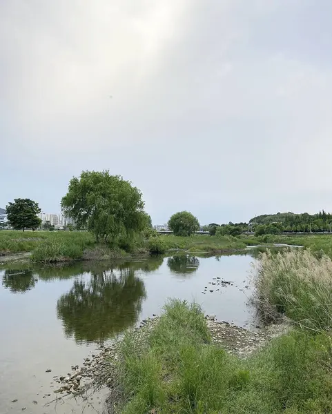 Nehir ve gölü olan güzel bir manzara.