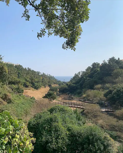 Doğanın güzel manzarası