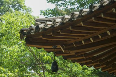 Şehrin güzel manzarası