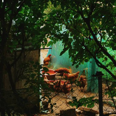 Parkın güzel manzarası