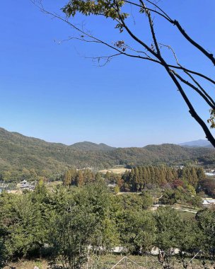 Şehrin güzel manzarası