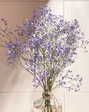 Beyaz arka planda vazoda kurumuş çiçekler.