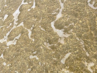 Deniz su yüzeyi arka plan olarak