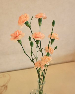 Beyaz arka planda güzel çiçekler