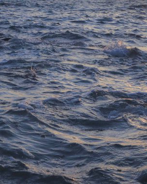 Sabahları denizin dalgaları