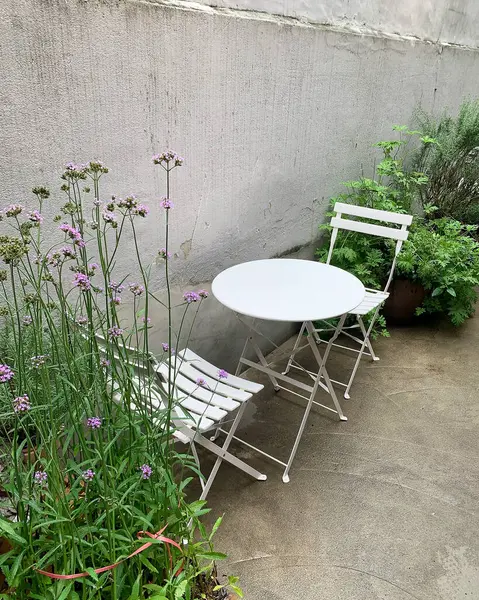 Bahçenin güzel manzarası