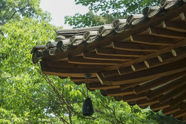 Şehrin güzel manzarası