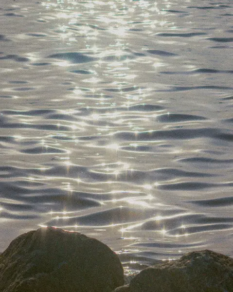 Yansımalı deniz dalgası