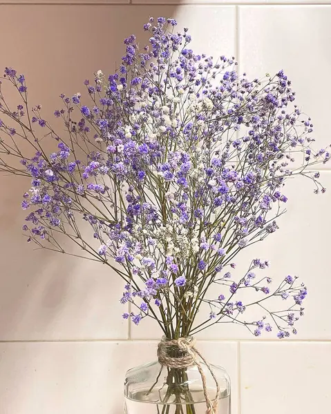 Beyaz arka planda vazoda kurumuş çiçekler.