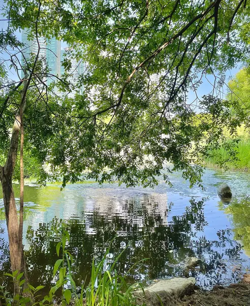 Doğanın güzel manzarası