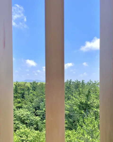 Barselona şehrinin manzarası