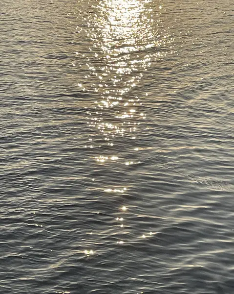 Yansımalı deniz dalgaları