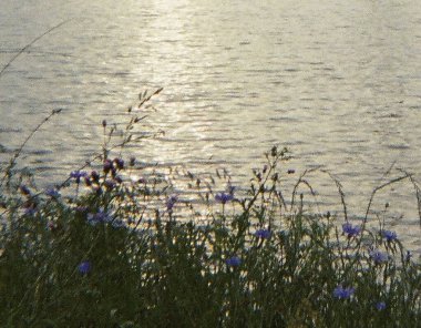 Sabah göl manzarası çok güzel.