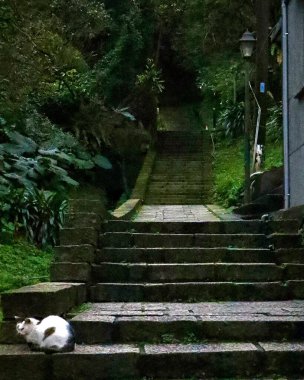 Parkın güzel manzarası