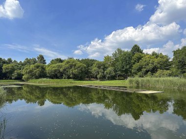 Nehir ve ağaçlarla dolu güzel bir manzara
