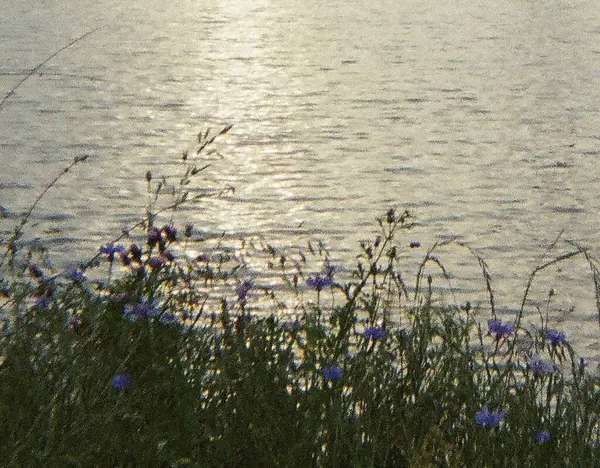 Sabah göl manzarası çok güzel.