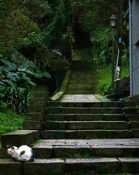 Parkın güzel manzarası