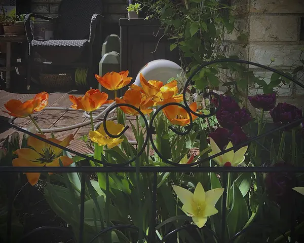 Bahçedeki güzel çiçekler