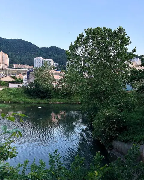 Sabahları parkın manzarası.