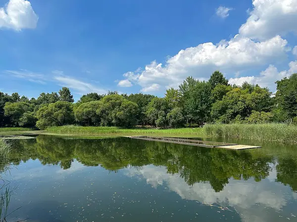 Nehir ve ağaçlarla dolu güzel bir manzara