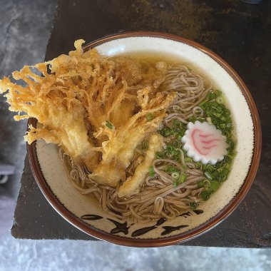 Japon eriştesi, Japon eriştesi, yakın çekim.