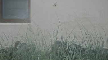 Köyde terk edilmiş eski bir ev.