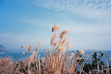 Dağlı güzel bir manzara.
