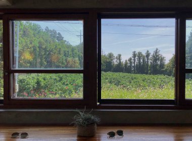 Modern bir apartmanın iç görünümü