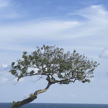 Güzel deniz manzarası