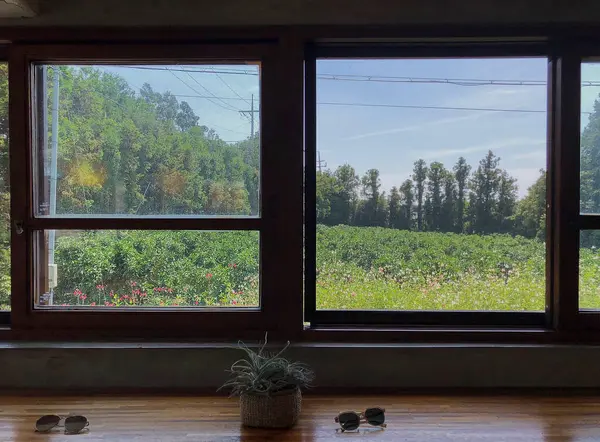 Modern bir apartmanın iç görünümü