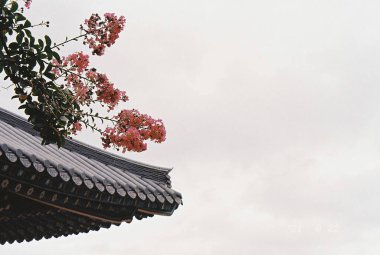 Çin şehrinin güzel mimarisi