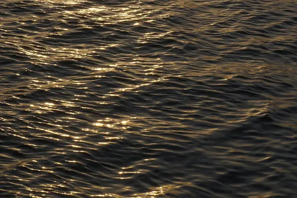 Dalgalar ve dalgalarla su yüzeyi